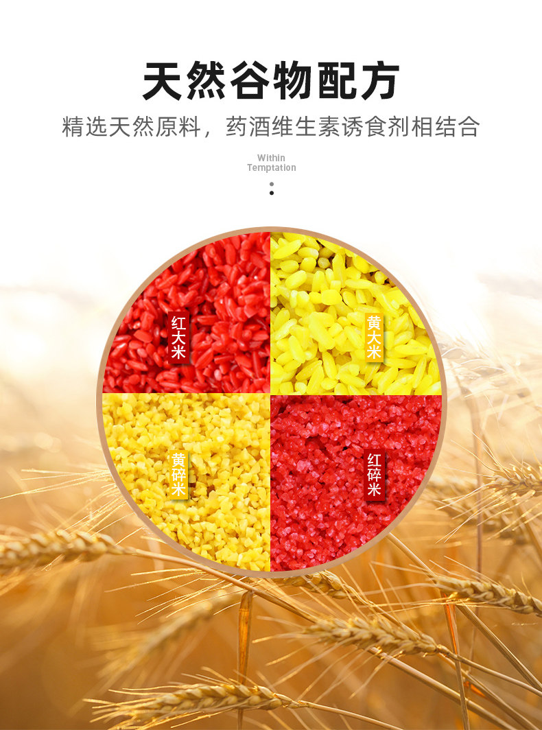 西部风老坛维它米鱼饵酒米打窝米野钓打窝料饵料维他米鲫鱼窝料,淘宝优惠券,粉丝福利购,淘宝优惠卷