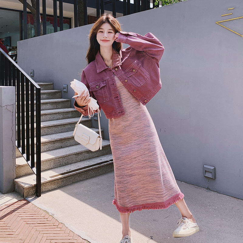 2025春季新款树莓紫设计感小众牛仔连衣裙时尚两件套裙套装女春秋