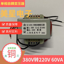 Single-phase autotransformer input 380V Output 220V 220V 60W DZ-60VA injection molding machine Bed Accessories