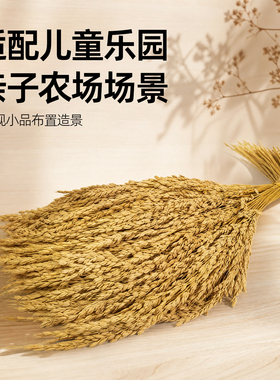 糯稻穗插花摆件手工材料布景干花