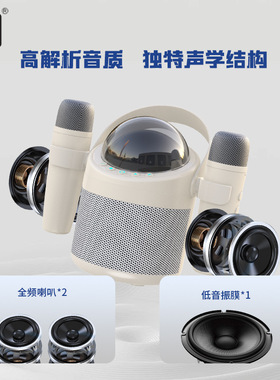 无线蓝牙双话筒K歌低音炮音箱