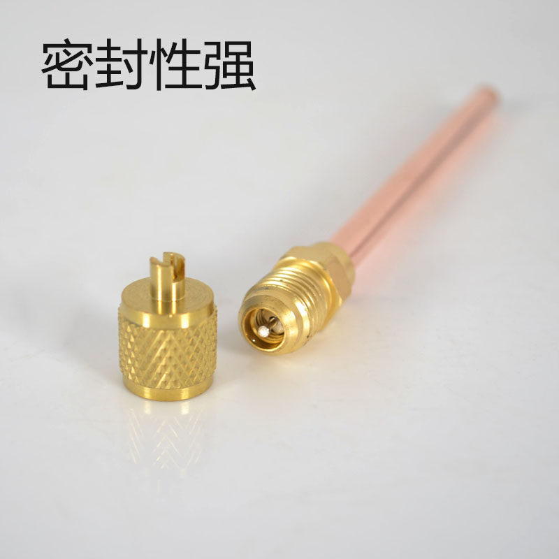 冰箱单向阀加氟嘴加液嘴冰箱快速接头针阀加氟快速接头充注阀-图1