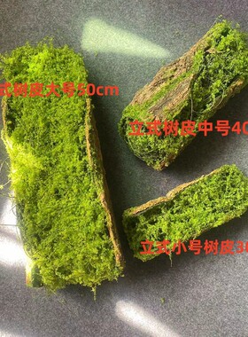创意青苔树皮多肉苔藓摆放仿真植物森系造景艺术热带雨林场景装饰