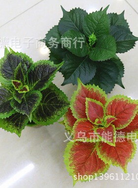 绣球叶赤苏植物墙配材仿真叶子紫苏树叶盆景装饰桂荏紫苏叶小绣球