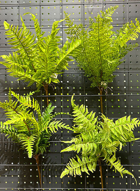 精品蕨草波士顿蕨仿真草植物墙配材羊齿蕨波斯草绿景装饰山蕨