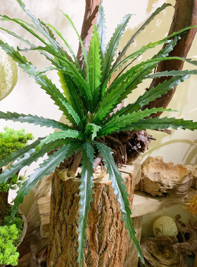 18叶锯齿剑叶植物墙配材仿真鸟蕨热带雨林山苏花鸟巢蕨盆景凤尾蕨