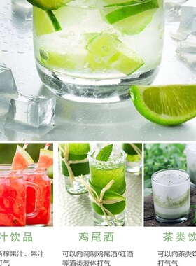 sodaplus气泡水机苏打水机气泡机家用便携式自制作机碳酸饮料果汁