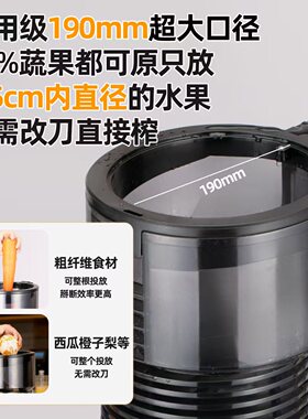 狮威特高端商用大口径原汁机鲜榨