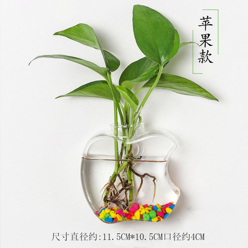简约墙面装饰花瓶玻璃透明水养绿萝植物器皿富贵竹插花盆精致家居 - 图0