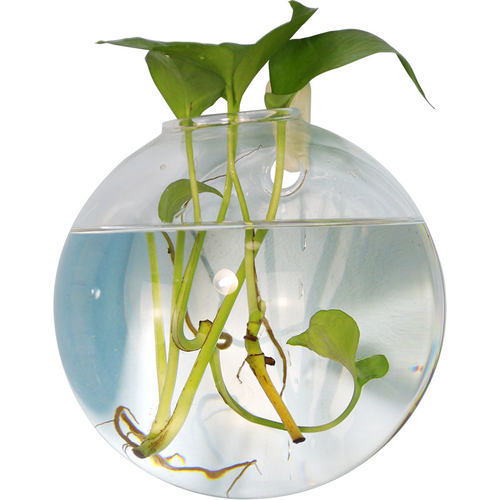 简约墙面装饰花瓶玻璃透明水养绿萝植物器皿富贵竹插花盆精致家居 - 图3