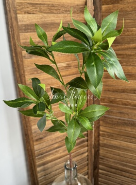 仿真马醉木假花绿植婚庆婚礼堂