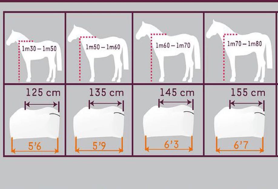 冬季马衣 冬季加厚马衣 带脖 小马驹马衣 新款防寒防水马衣 - 图3