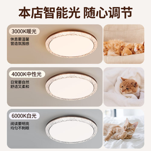 北欧卧室灯吸顶灯现代简约木艺风轻奢房间主卧客厅灯智能led灯具 - 图2