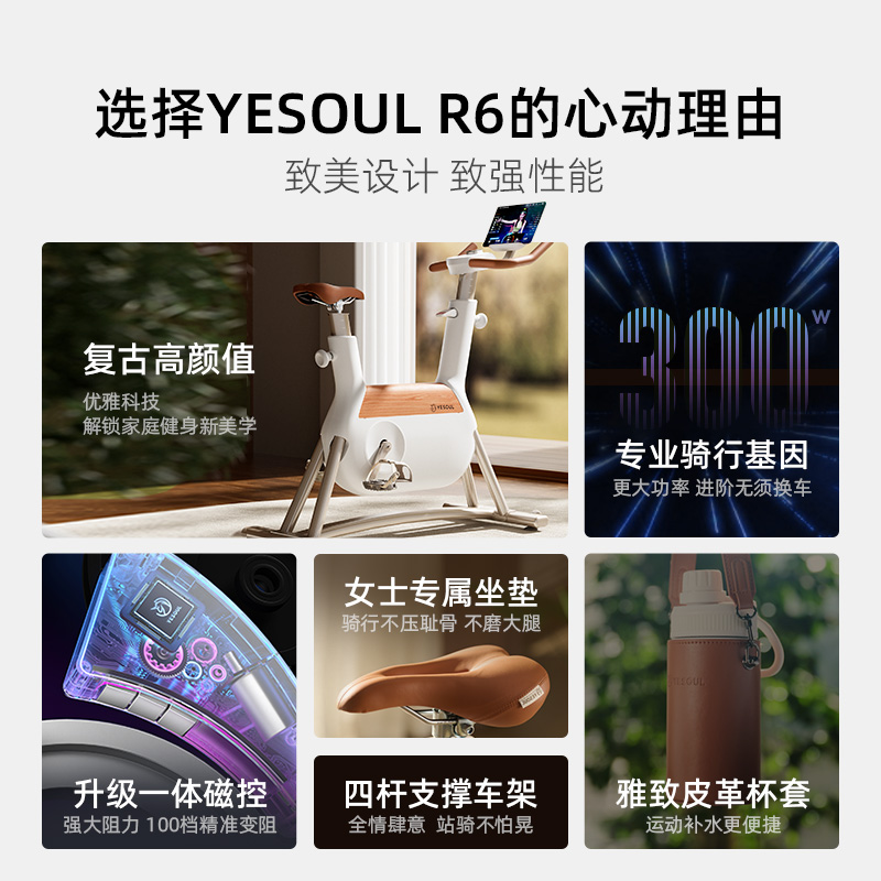 YESOUL野小兽自发电动感单车家用自行车专业减肥运动器材女生R6 - 图3