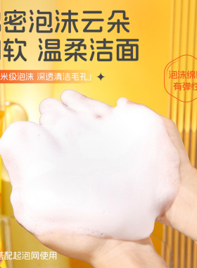 韩泊莉硫磺控油补水洁面乳