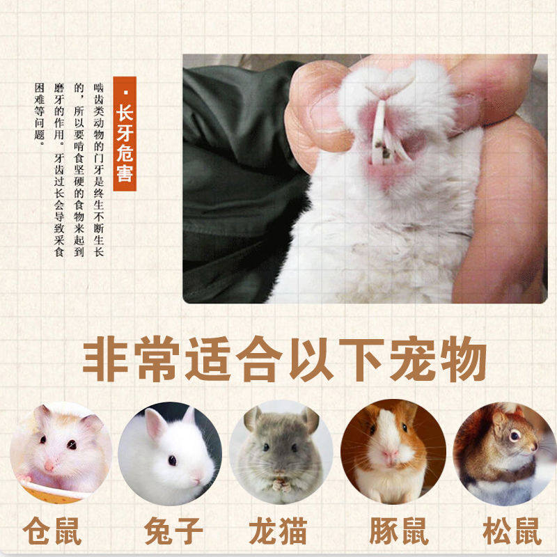 苹果枝磨牙棒小宠磨牙咬木仓鼠荷兰猪龙猫豚鼠兔子磨牙用品甜竹 - 图1