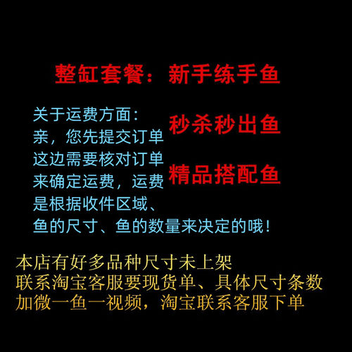 三湖慈鲷鱼大尺寸马鲷精品套餐热带淡水观赏鱼活体岩栖珊瑚纯种 - 图1