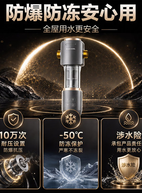 安吉尔前置过滤器自动反冲洗净水