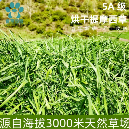 25年烘干提摩西干草段北提兔子用品粮草荷兰猪龙猫磨牙兔粮兔饲料 - 图0