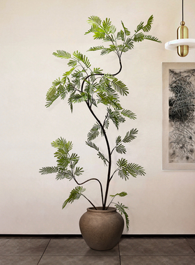 仿真绿植密尔猴耳环落地盆栽摆件