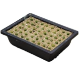 Маленький милый племенный горшок, посевский горшок, зеленый растение пластиковый цветок простой настольный настольный компьютер многодушный бассейн имитация фиолетового песчаного горшка