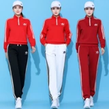 Демисезонный хлопковый спортивный костюм, комплект, свитшот, увеличенная толщина