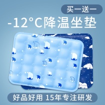 Summer Ice Mat Cushion Mat Cool Cushion Car Water Cushion Cool Pets Ice Mat water Buffet Gel Student Water Bed Mat