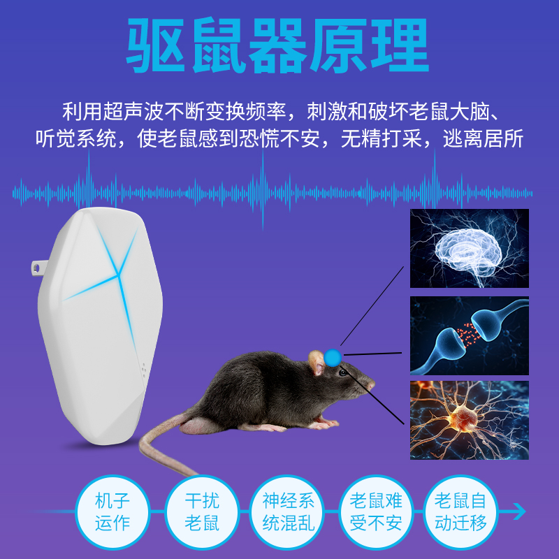 电子猫超声波驱鼠器家用猫管家抓捕鼠神器抓灭鼠驱赶老鼠耗子防鼠 - 图2