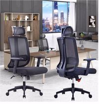 Old Wide Factory Direct Sales High Back Multifunction Explosion Protection Body Ergonomics Comfort Net Breathable Computer Office Chair