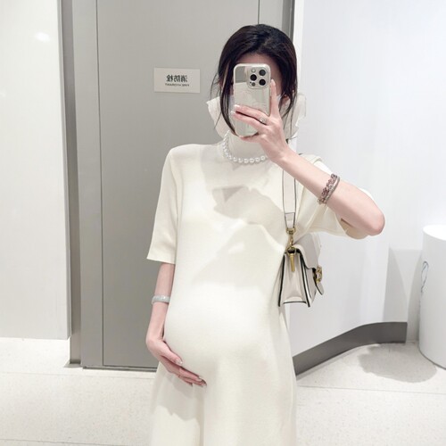 HAIDE妈咪孕妇装半高领短袖法式气质高级感显瘦中长孕妇裙连衣裙 - 图1