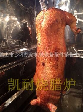 商用环保型凯耐多功能一体烧鸡炉