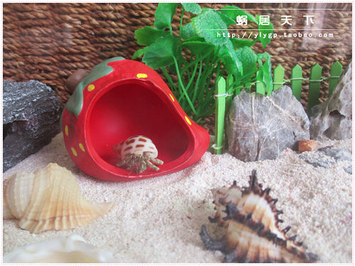 【草莓房子-蜗居天下】寄居蟹躲避屋躲藏洞穴 宠物饲养箱造景装饰 - 图3