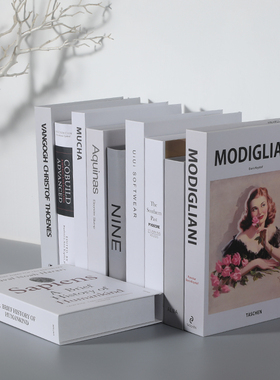 简约现代风北欧摆设网咖仿真书