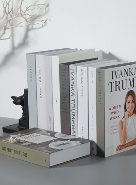 摆件客厅卧室模型创意仿真书