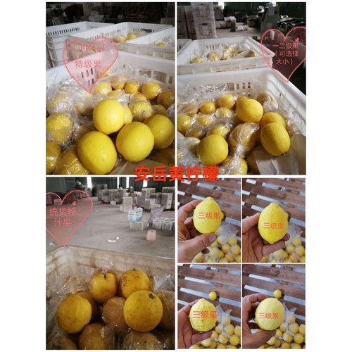 一级优质黄柠檬龙祥“好意头” 品牌柠檬 大部分区域包邮 - 图2