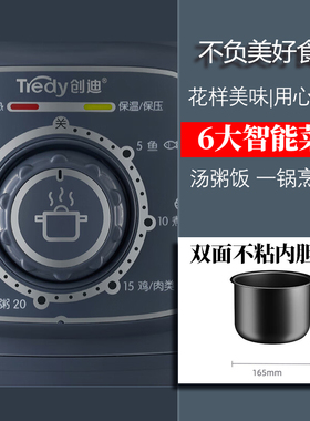 Tredy/创迪 YBD20-60C迷你电压力锅2L多功能料理机械旋钮电饭煲