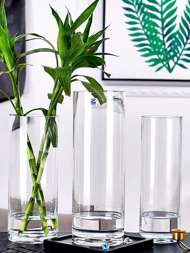 Дополнительная посадка цилиндрическая ваза Прямое стекло прозрачное вода, поднимая богатую бамбуковую воду бамбуко
