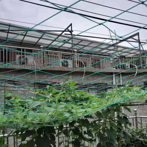 Растение лазания в лозы, овощные сады сад огурец, рамка ротана, скучная фруктовая стена, балкона для лазания с сетью, сеть сетки Loofah Grid