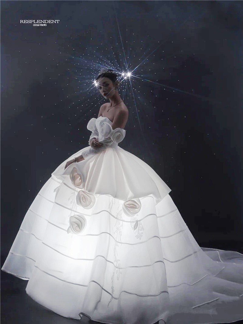 新款影楼主题唯美时尚蓬蓬裙婚纱 耳夲婚纱