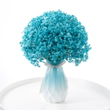 Полный тиансинг сухой цветок