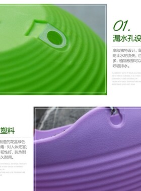 树脂塑料挂式绿萝爬藤多肉吊盆