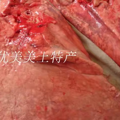 山东特产新鲜生驴肺5斤驴杂现宰驴肉驴杂肉散装真空批餐饮食材5斤 - 图2