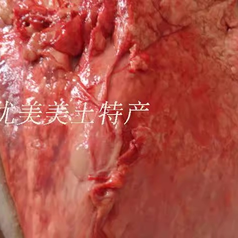 山东特产新鲜生驴肺5斤驴杂现宰驴肉驴杂肉散装真空批餐饮食材5斤 - 图1