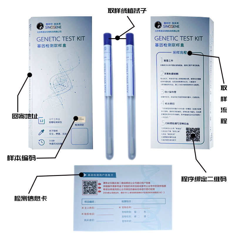 布偶缅因猫咪遗传基因检测专为猫主贴心推荐基因筛查健康繁育包邮 - 图3