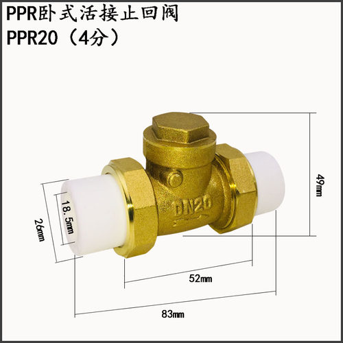 PPR黄铜卧式立式止回阀4分6分1寸水管水表单向逆止阀DN15 20 25 - 图1