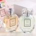 Changshi coco kaidiya Pháp lady eau de toilette hộp quà bằng gỗ tươi xanh tự nhiên táo nữ tính - Nước hoa nước hoa signorina đen Nước hoa