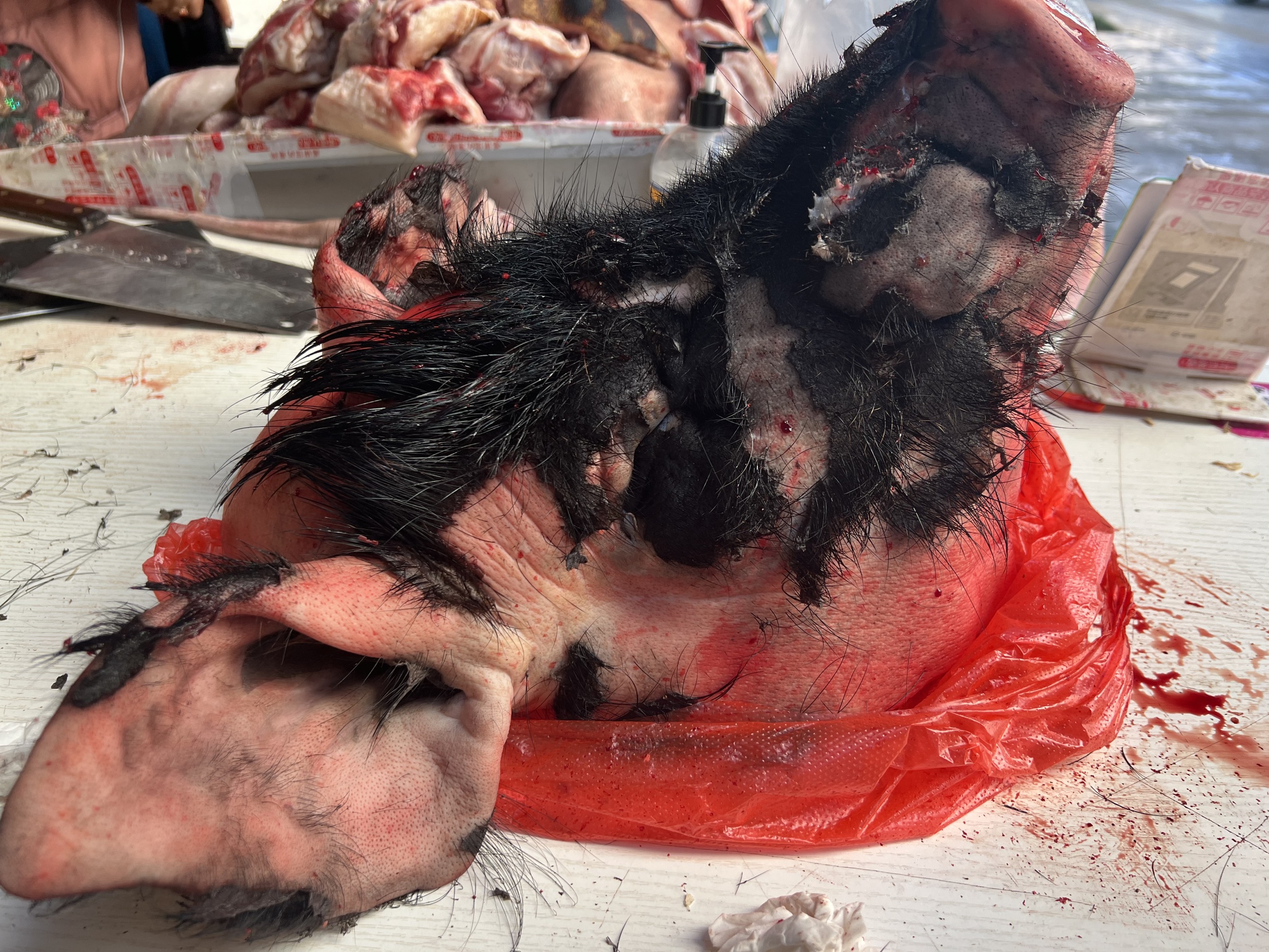 Yunnan farmers free range black pork, a whole head of freshly killed black pigs, Tibetan fragrant pig feet and viscera, free range for 2-4 years