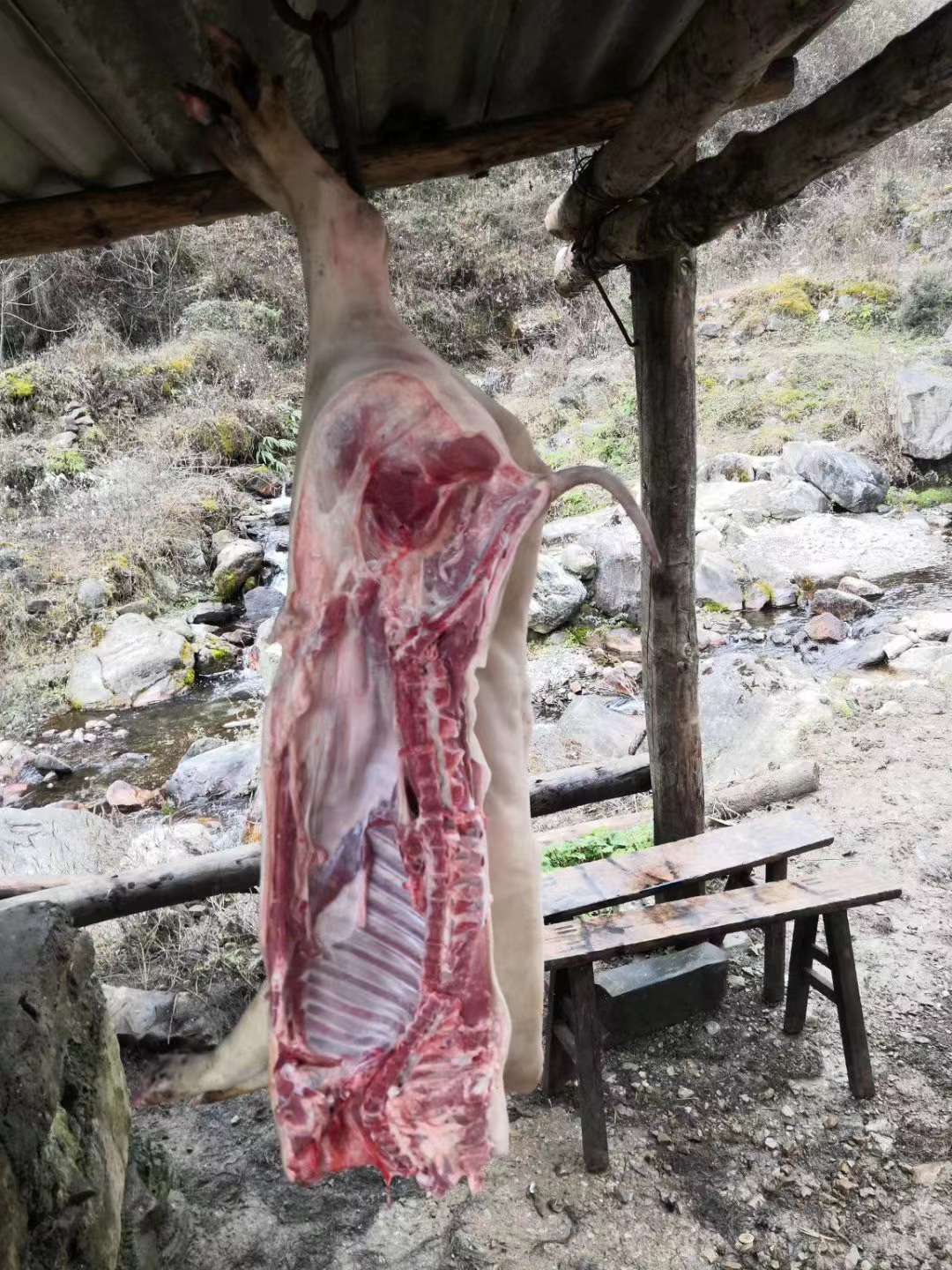 Yunnan farmers free range black pork, a whole head of freshly killed black pigs, Tibetan fragrant pig feet and viscera, free range for 2-4 years