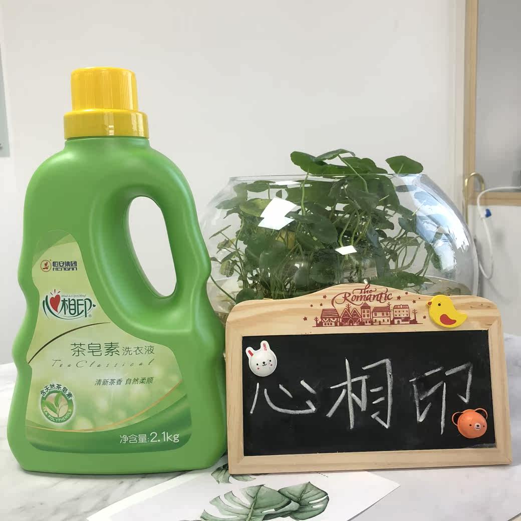 心相印洗衣液手洗机洗专用大瓶茶皂素持久清香天然温和家用实惠装