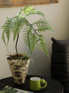 茶室吧台酒店创意蕨类仿真植物